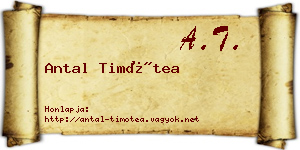 Antal Timótea névjegykártya